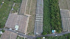 燕巢｜2.9分｜都內農地｜近橋科、交流道