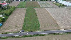 專約-台南西港區臨路4米面寬26米方正優質農地