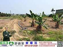 林園RL4、RL5區段徵收農地