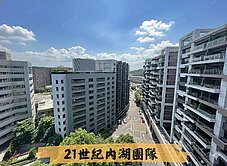 大華湖閱｜四面採光精品豪邸｜雙車位．高檔裝潢即可住