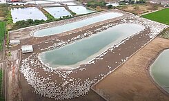 屏東新園鄉新堤段六米路方正農地