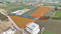 名間土地-名間大坑1.1甲大面寬農地