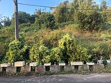 田寮小資族農牧用地