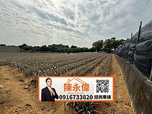 大樹區小坪里水廠段有水有電千坪農地