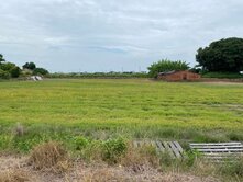 嘉義東石村莊內三角窗方正美農地