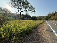 請問芳銘-六龜農地臨-三民路台28線路-邊面寬平坦