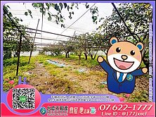 燕巢近安招國小丨面寬方正都內農丨臨路有水電