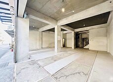 出價談❗平鎮全新自建9米大面寬百坪電梯別墅❗