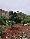 有2塊 專委-中央大學都計內農地