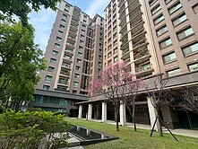 尼克秀屋🍒八期大城室內48坪雙平車