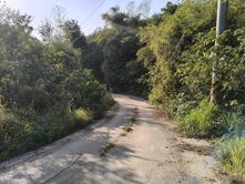 台東卑南鄉杉原產業道路｜節稅首選農地✨萍