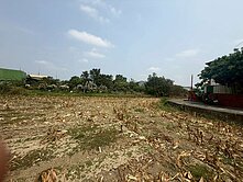 新吉近南科480優質農地