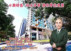 七期 市議會/十字園道 似水年華 朝南邊間美視野戶