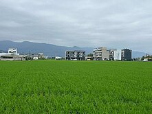 宜蘭市足坪大面寬方正農地近高速公路