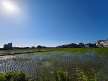 【每坪不用2萬】近大坡國小農地～49米面寬10米路