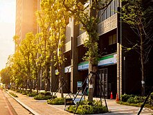 🔥 獨家！ 雲端帝王座向海景房+平車+冷氣全包