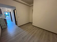 萊茵水花園面公園三房坡車~全新交屋