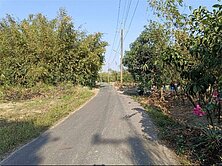 歸仁沙崙2.5分大面寬臨路農地  仁德歸仁土地