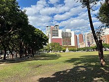 獨家稀有釋出｜勤美綠園道市民廣場商辦｜邊間採光佳