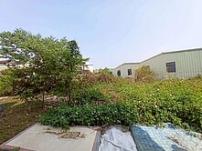 🍎專任🍎新社大南段大面積臨路農建地優質土地