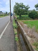 131觀音8米路低總價農保田
