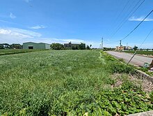 132觀音8米雙面路大面寬農地