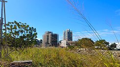 北屯區正14期榮德段台中巨蛋南側建地