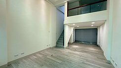 廣東崇蘭商圈整新透天