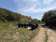 大樹1.2甲和山里度假開心農場