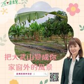 🚨預算300萬想買大農地？親自走一趟