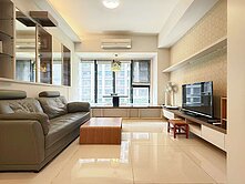 🎖️卓悅聯盟🎖️合新大美樹梢景觀3房雙車