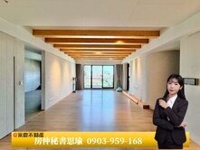 同興協記見山🩶唯一百萬裝潢大三房四平車高樓視野戶
