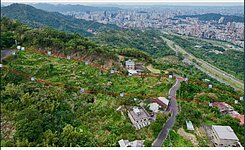 貓空-101景觀-都內-農地