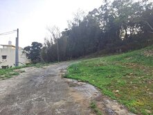 🍎【賠售】大溪悅華酒店/ 一般農業區/農地🍎