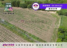 仁德中洲方正平坦農地819