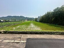 大溪 8米路旁方正農地