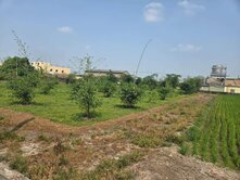 🥇住商-TOP內湖店🏆專約-雲林斗南農地
