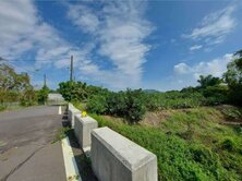 #燕巢農地#臨路近市區#誠意出售