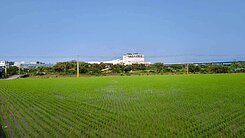苗栗後龍鄰近市區都計內具增值潛力一般農地