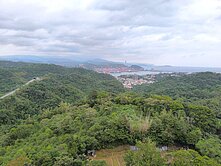 大香港套房+車位