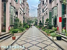 🍎 桃園省道龍安雙車美別墅（事故屋）🍎