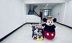 🔥花園夜市商圈美透天😍小巢大安生寶👍