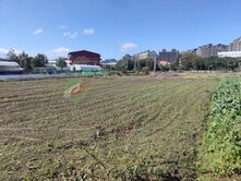🌿南園段 🌸雙面臨路500農地🌿