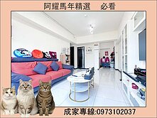 高大特區❤️芳崗左岸，景觀超大二房