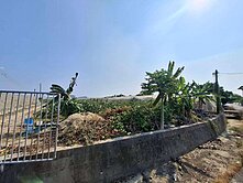 燕巢安北段都內農地
