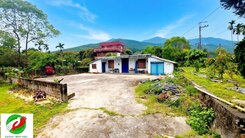 ♦️專任♦️🌈鳳林大地坪農建地+稅籍平房🌈