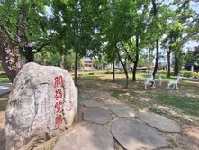 ❤️台南關子嶺南寮5.9甲大面積林業用地