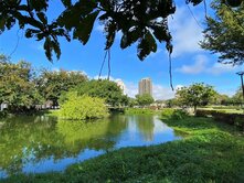 逢甲北十二期文修生態公園宅裕森林精裝角間兩房+平車