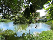 逢甲北十二期文修生態公園宅裕森林精裝角間兩房+平車