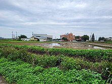 150中壢山東農地,青埔假日農夫(專約,案件穩定)